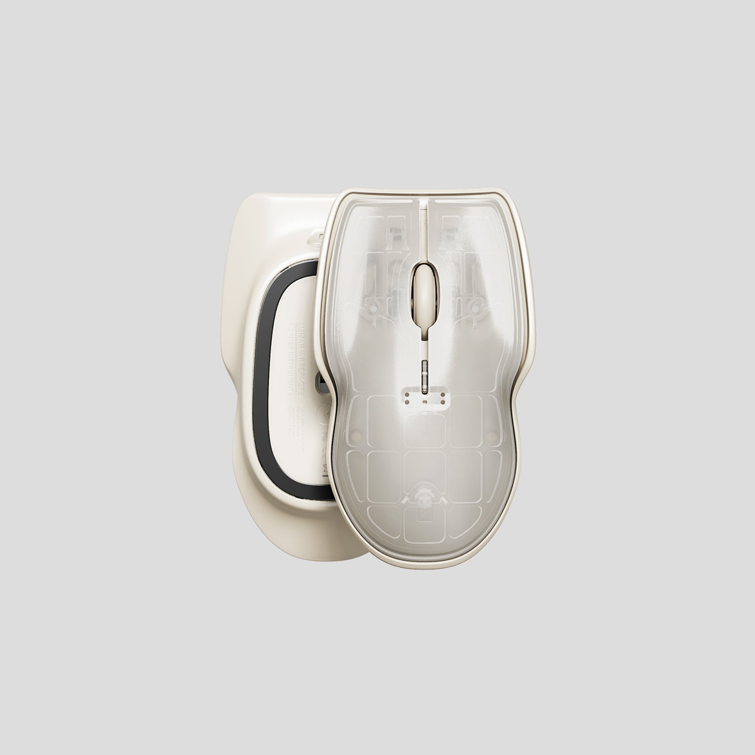 Pointer Instrument - Nudus Blanc